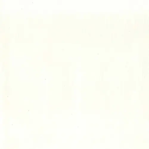 ТСНЛ тснл белый 2,44*1,83